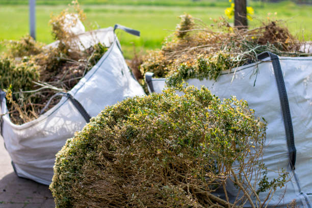 Debris Removal in Deshler, OH